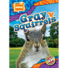 Gray Squirrels - Library Binding
