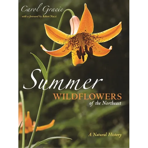 Summer Wildflowers of the Northeast: A Natural History - Paperback