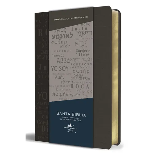 Biblia Rvr 1960 Letra Grande Tamaño Manual, Simil Piel Gris Con Nombres de Dios / Spanish Bible Rvr 1960 Handy Size Large Print Leathersoft Grey, Name - Bonded Leather
