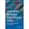 Community Resilience When Disaster Strikes: Security and Community Health in UK Flood Zones - Hardcover