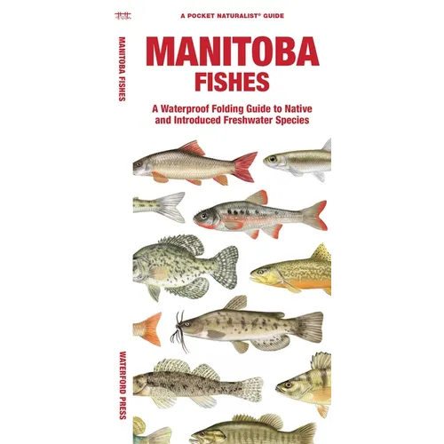 Manitoba Fishes: A Folding Guide to Native and Introduced Freshwater Species - Paperback