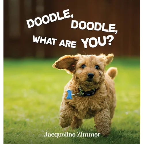 Doodle, Doodle, What Are You? - Hardcover