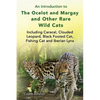 An introduction to The Ocelot and Margay and Other Rare Wild Cats Including Caracal, Clouded Leopard, Black Footed Cat, Fishing Cat and Iberian Lynx - Paperback