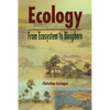 Ecology: From Ecosystem to Biosphere - Paperback