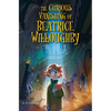 The Curious Vanishing of Beatrice Willoughby - Paperback