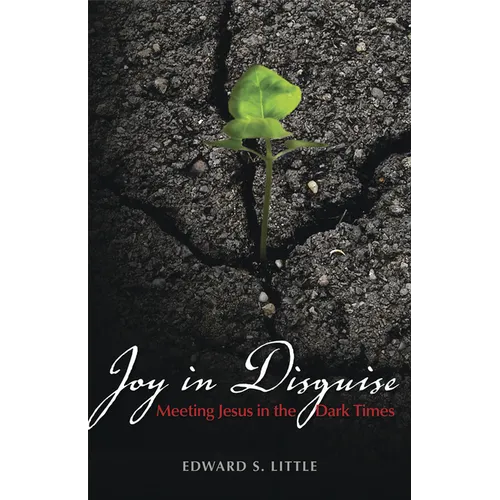 Joy in Disguise: Meeting Jesus in the Dark Times - Paperback