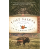 Lost Saints - Hardcover
