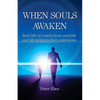 When Souls Awaken; Real-life accounts of past-life and life-between-lives regressions - Paperback