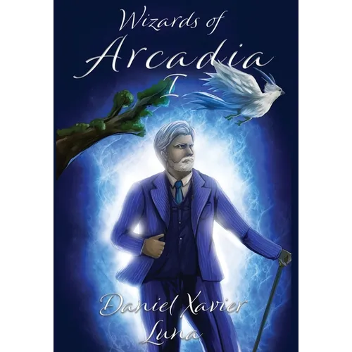 Wizards of Arcadia 1 - Hardcover