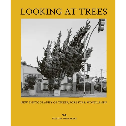 Looking at Trees: New Photography of Trees, Forests and Woodlands - Hardcover