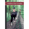 Sonrise Stable: Follow Our Leader - Paperback