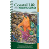 Coastal Life of the Pacific Coast: Discover Tidepools and Identify Beachcombing Finds and Iconic Wildlife - Spiral