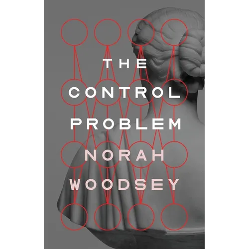 The Control Problem - Paperback