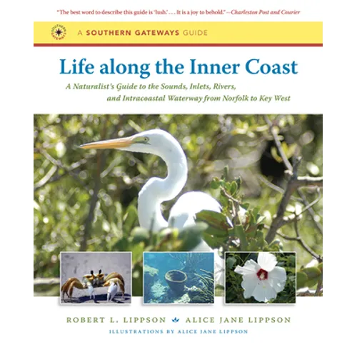 Life Along the Inner Coast: A Naturalist's Guide to the Sounds, Inlets, Rivers, and Intracoastal Waterway from Norfolk to Key West - Paperback
