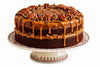 Andy Anand SUGAR-FREE TURTLE PECAN CAKE  RICH CHOCOLATE, DECADENT CARAMEL &amp; TOASTED PECANS, ZERO ADDED SUGAR, 2.8 LBS: Layers of moist dark chocolate cake, buttery caramel filling, and premium roasted pecans.