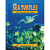 Sea Turtles: An Ecological Guide - Paperback