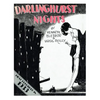 Darlinghurst Nights - Paperback