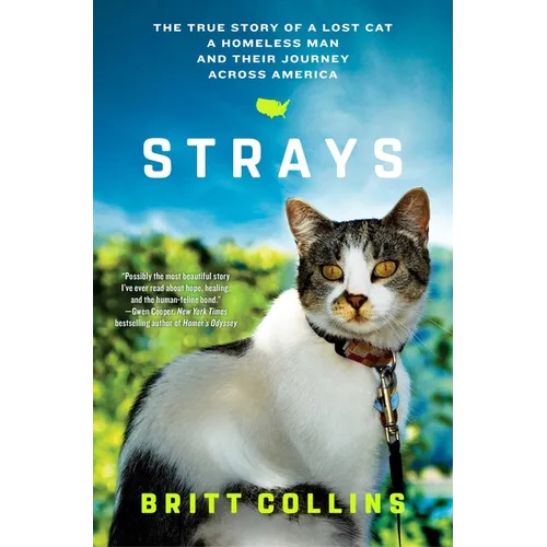 Strays: The True Story of a Lost Cat, a Homeless Man, and Their Journey Across America - Paperback