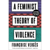 A Feminist Theory of Violence: A Decolonial Perspective - Paperback