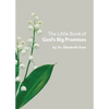 The Little Book of God's Big Promises - Paperback