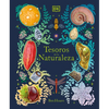 Tesoros de la Naturaleza (Nature's Treasures): Un Viaje Inolvidable Por Los Secretos del Mundo Natural - Hardcover