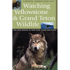 Watching Yellowstone & Grand Teton Wildlife - Paperback
