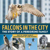 Falcons in the City: The Story of a Peregine Family - Hardcover