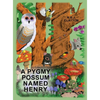 A Pygmy Possum Named Henry - Hardcover