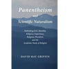 Panentheism and Scientific Naturalism: Rethinking Evil, Morality, Religious Experience, Religious Pluralism, and the Academic Study of Religion - Paperback