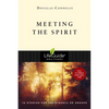 Meeting the Spirit - Paperback