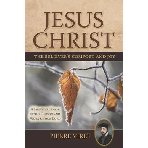 Jesus Christ the Believer's Comfort and Joy: A Practical Look at the Person and Work of our Lord - Paperback
