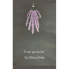 If ever you are lost - Paperback