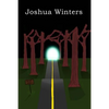 Dead Ends - Paperback
