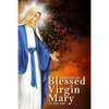 Insights Into The Blessed Virgin Mary: Understanding Mary From the right view - Paperback