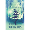If The Broom Fits: A Quirky Paranormal Menage Story - Paperback
