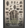 The Cambrian Period: The History and Legacy of the Start of Complex Life on Earth - Paperback