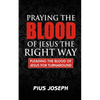 Praying the Blood of Jesus the Right Way: Pleading the Blood of Jesus for Turnaround - Paperback