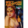 Spicy Adventure Stories - Paperback
