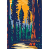 The Ghosts of Bohemian Grove - Paperback