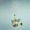 Disco Ball Hanging Flower Pot For Indoor Plants Bohemian Style Flower Planter Pots Rope Mirror Hanging Basket Garden Decor