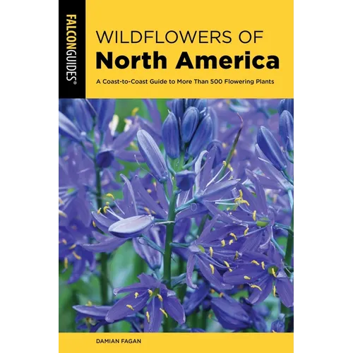 Wildflowers of North America - Paperback