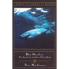 Blue Meridian: The Search for the Great White Shark - Paperback