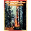 Forest Interpreter's Primer on Fire Management - Paperback