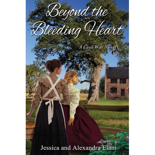 Beyond the Bleeding Heart: A Tale of the American Civil War - Paperback