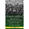 Public Opinion: How People Decide; The Role of News, Propaganda and Manufactured Consent in Modern Democracy and Political Elections (Hardcover) - Hardcover