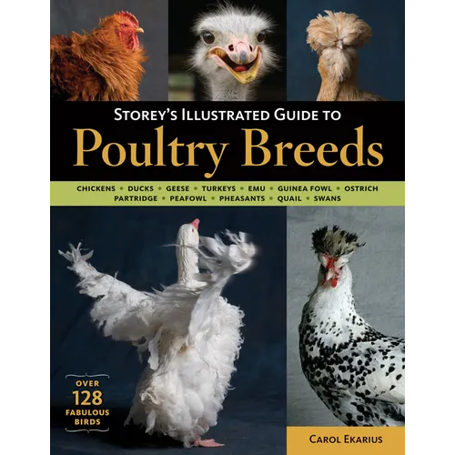 Storey's Illustrated Guide to Poultry Breeds: Chickens, Ducks, Geese, Turkeys, Emus, Guinea Fowl, Ostriches, Partridges, Peafowl, Pheasants, Quails, S - Paperback