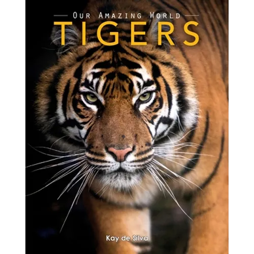 Tigers: Amazing Pictures & Fun Facts on Animals in Nature - Paperback