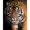 Tigers: Amazing Pictures & Fun Facts on Animals in Nature - Paperback