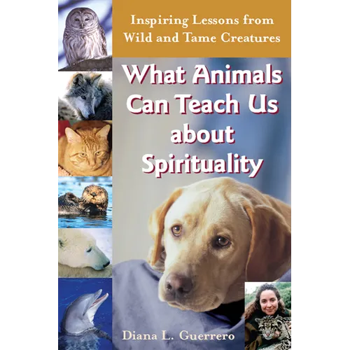 What Animals Can Teach Us about Spirituality: Inspiring Lessons from Wild and Tame Creatures - Paperback