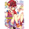 No Game No Life, Vol. 6 (Light Novel) - Paperback